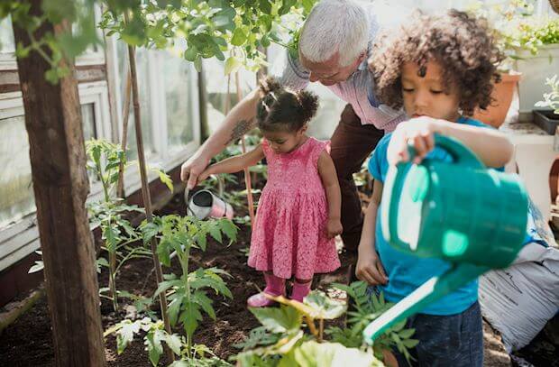 Grandad and two children watering plants in the garden