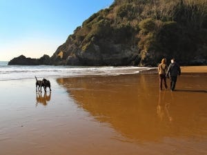 Caswell Bay Romantic Dog Walk